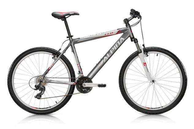 Велосипед Alpina 14 Eco M20 Titanium 19.5"