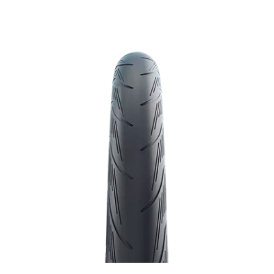 Schwalbe