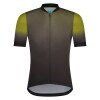 Веломайка мужская Shimano EVOLVE AVVENTURA темно-зеленый S