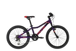Велосипед Kellys Lumi 30 Purple (20") 255мм  Фото