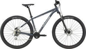 Велосипед Cannondale 2022 TRAIL 6 29" сірий M  Фото