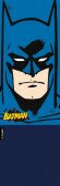 Головний убір Buff Junior Polar Batman™ Batman 2 / Navy  Фото