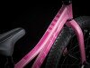 Велосипед Trek 2021 Precaliber 16 GIRLS C/B 16" рожевий Фото №3