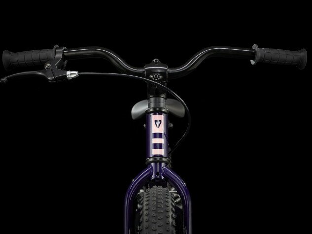 Велосипед Trek 2021 Precaliber 20 SS CST GIRLS 20" фіолетовий Фото №3