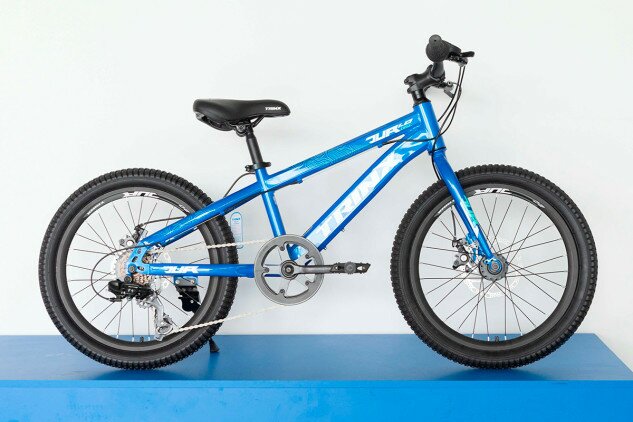 Велосипед дитячий Trinx Junior 1.0 20" синій/зелений/білий