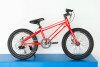 Велосипед дитячий Trinx Junior 1.0 20" червоний/білий/чорний