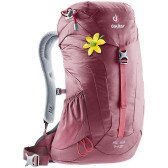 Рюкзак Deuter AC Lite SL 14 л цвет 5026 maron  Фото