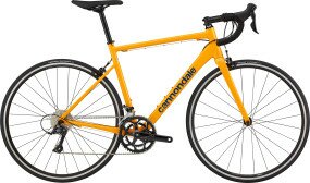 Велосипед Cannondale 2024 CAAD Optimo 3 28" жовтий 56см  Фото